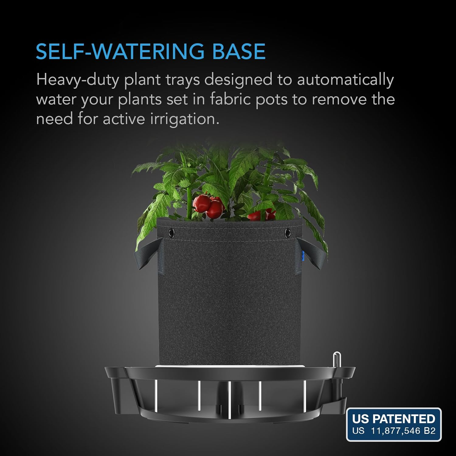 AC Infinity Round Black Plant Saucers with Self-Watering Base (4 Count)