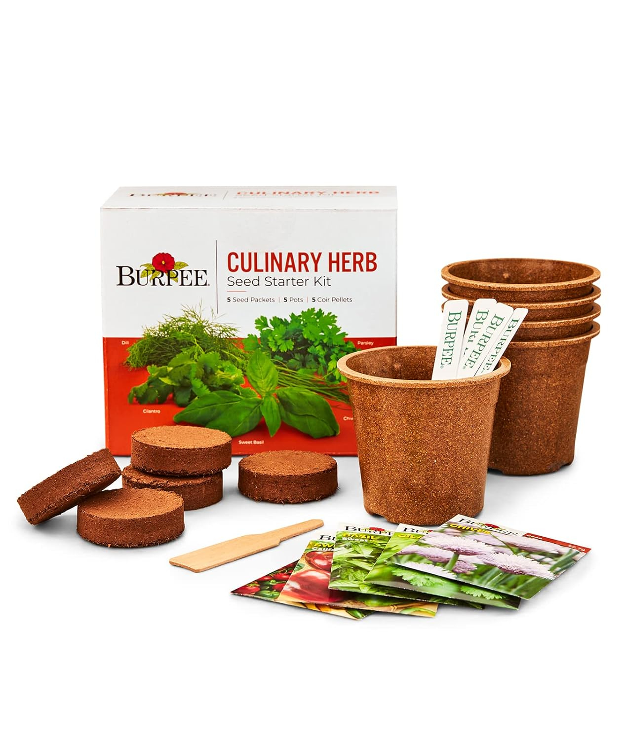 Burpee Culinary Herb Seed Starter Kit