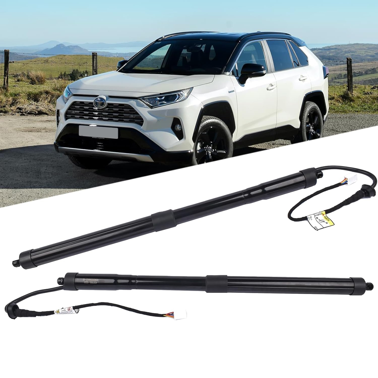 Electric Tailgate Power Liftgate Support Shock Struts Replacement for 2019-2021 Toyota RAV4 2.5L 68910-42060 68920-42020