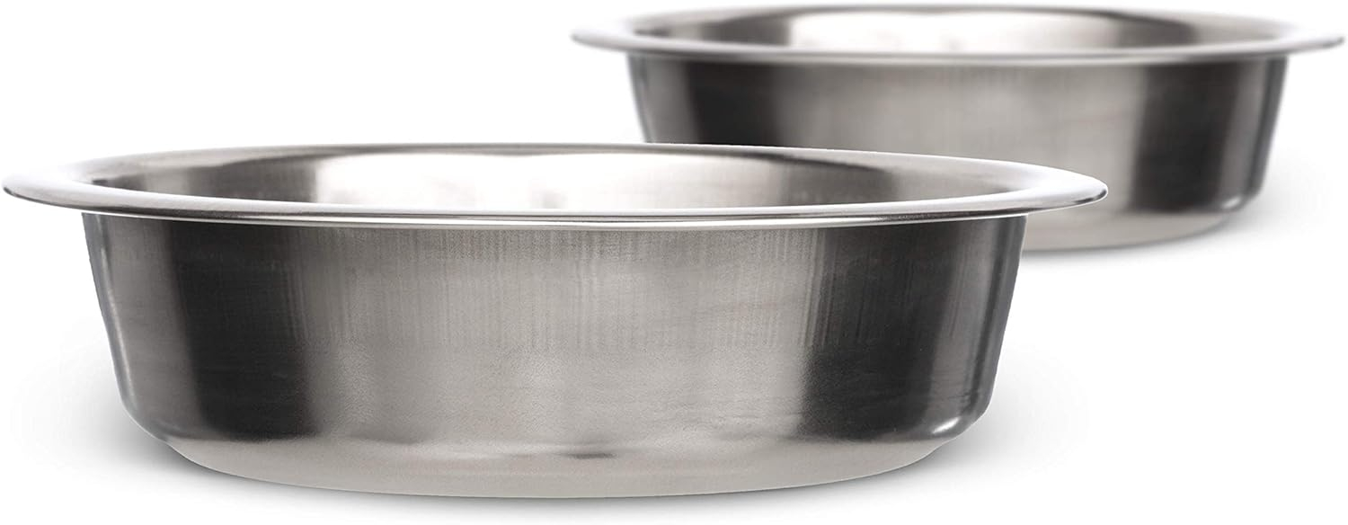 Small Stainless Steel Pet Bowl for Food and Water