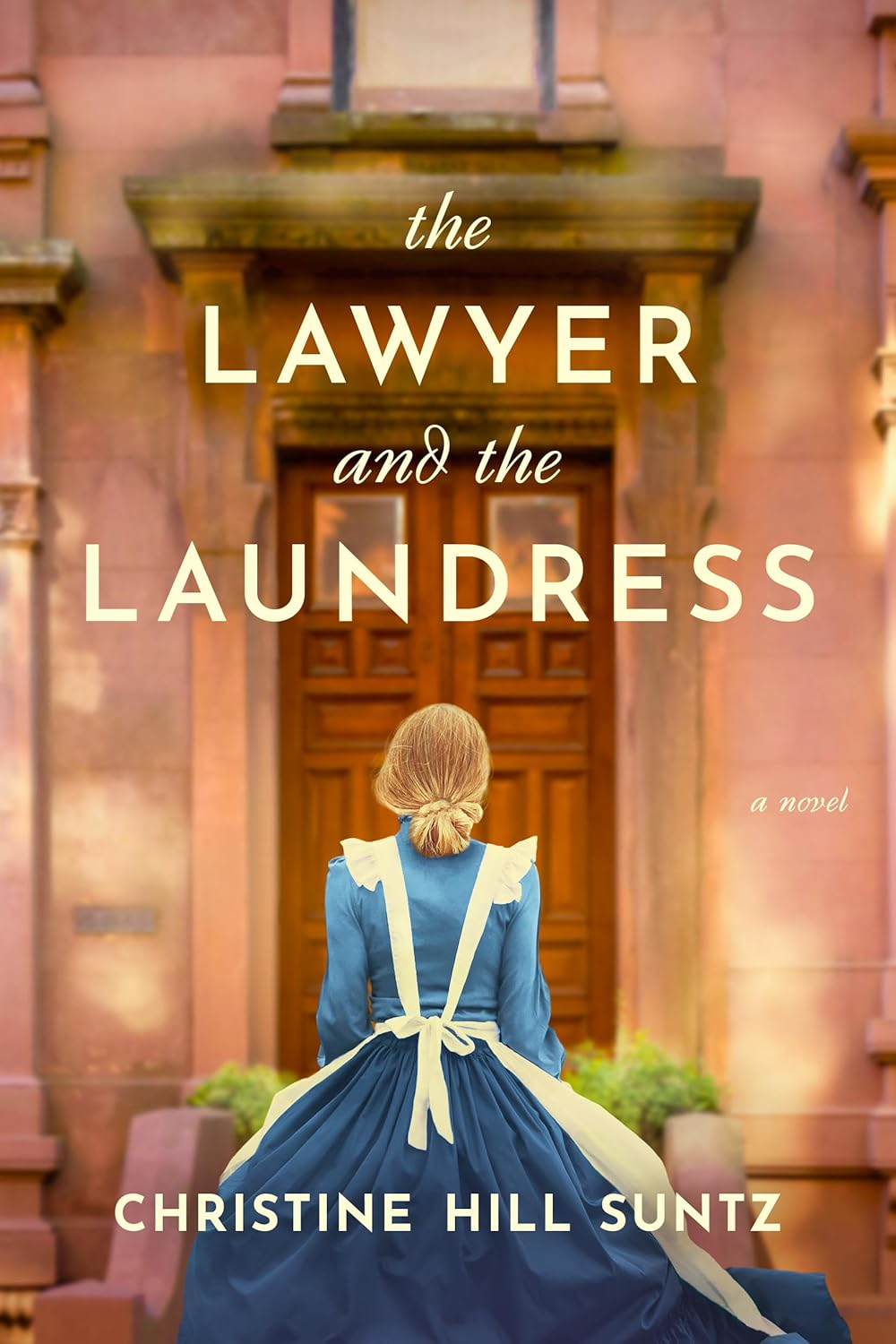 The Lawyer and the Laundress - by  Christine Hill Suntz (Paperback)