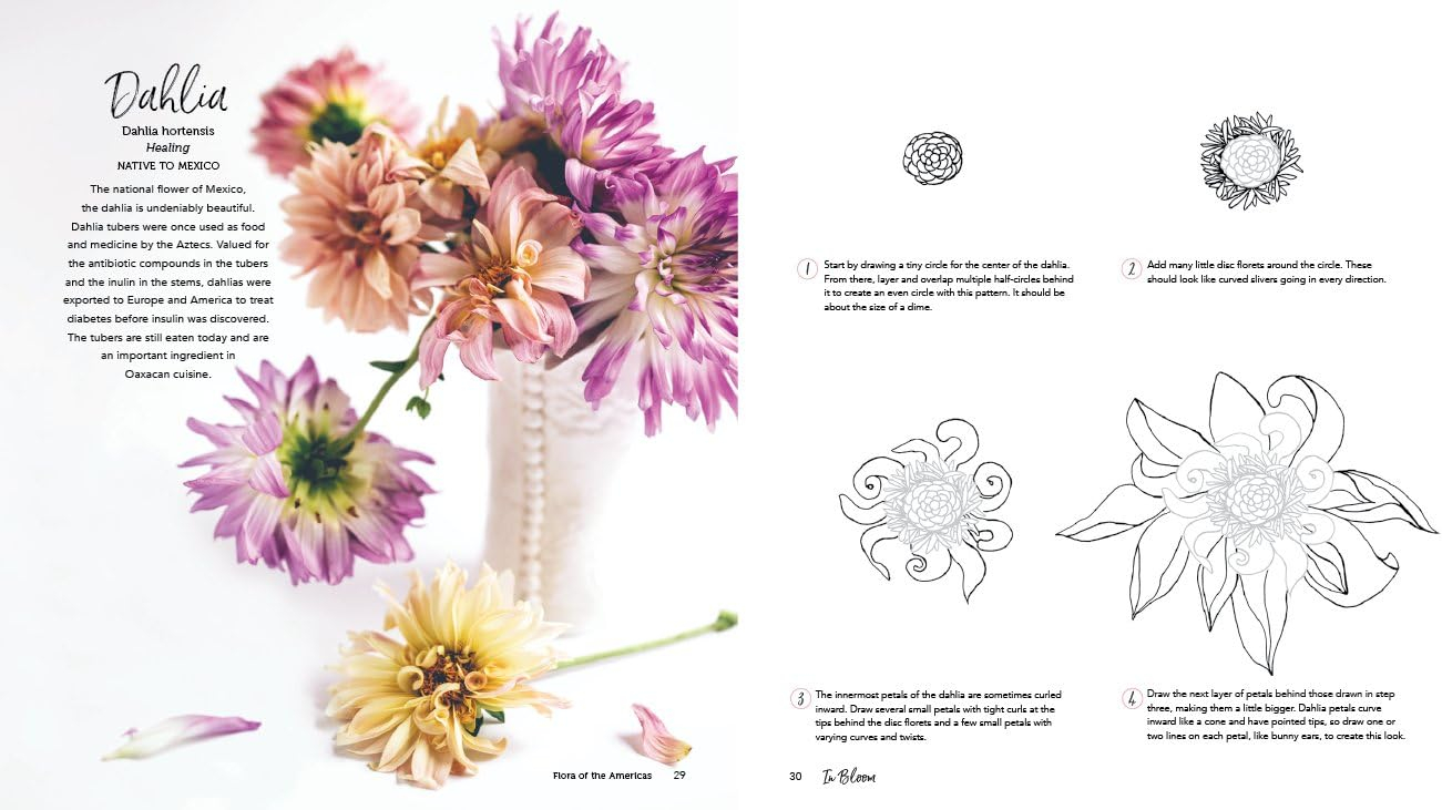 In Bloom: A Step-By-Step Guide to Drawing Lush Florals - An Easy How-To-Draw Flowers Book for Beginners, (Paperback)