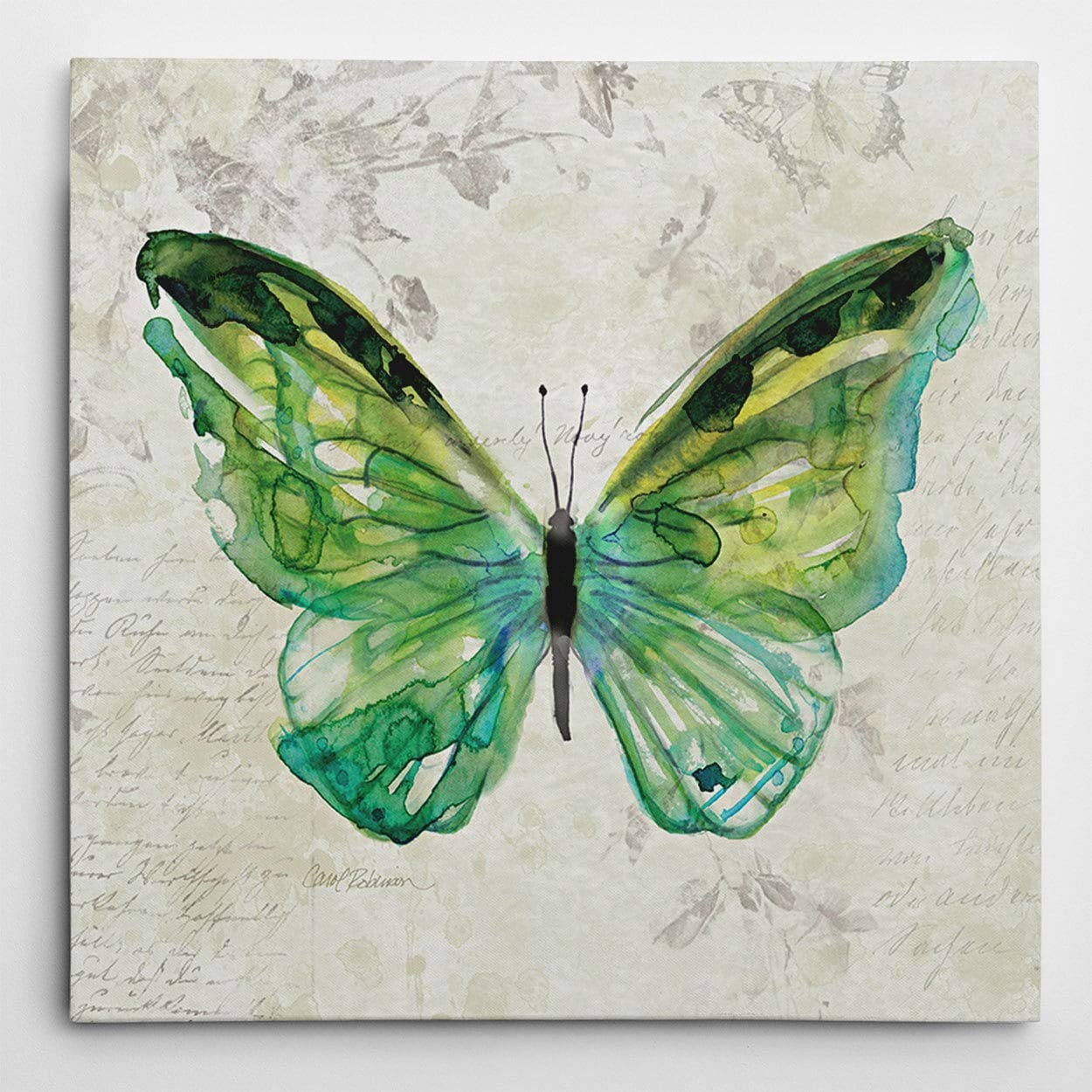 Green Butterfly Sketch Canvas Wall Art, 16x16