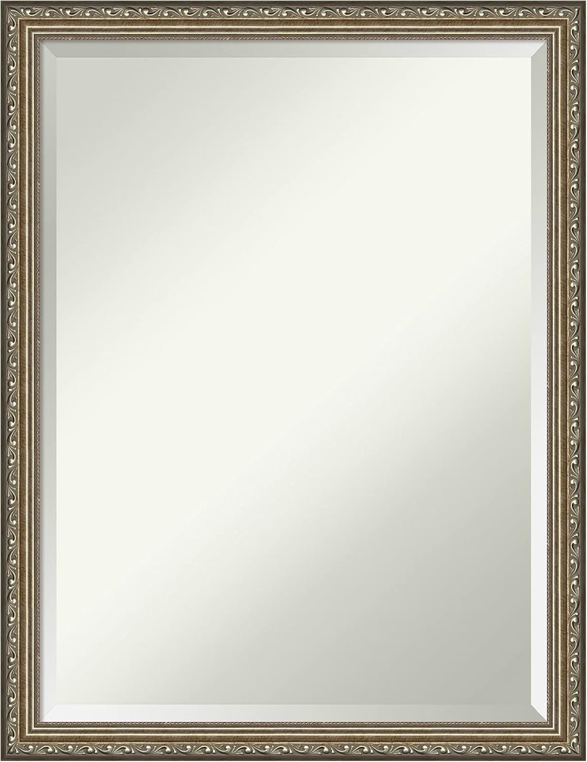 Amanti Art Beveled Wood Wall Mirror - Parisian Silver Frame Outer Size: 20 x 26 in