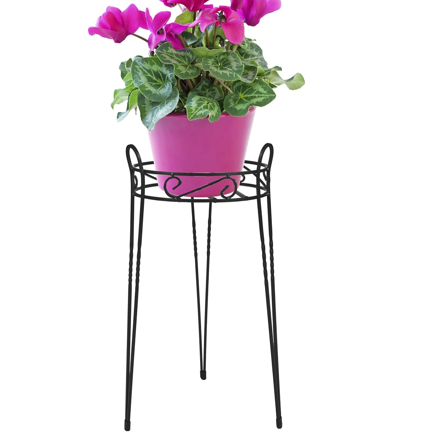 Elegant Canterbury Scroll 21" Black Steel Oval Plant Stand