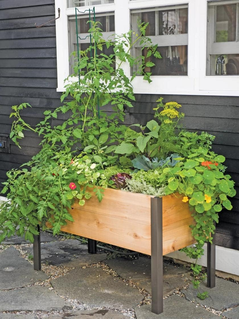 Gardener's Supply Company Raised Garden Bed Elevated Cedar Planter Box | 2' x 4' Heavy Duty Standing Garden Planters for Outdoor Plant Vegetables & Flower Gardening Perfect for Patio, Lawn & Backyard