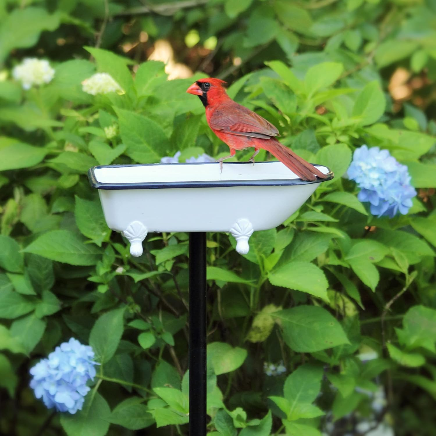 Brass Bird Bath Tub, White Finish, Featuring Clawfoot Bathtub Design, Bird Feeder, Includes Garden Pole by Good Directions