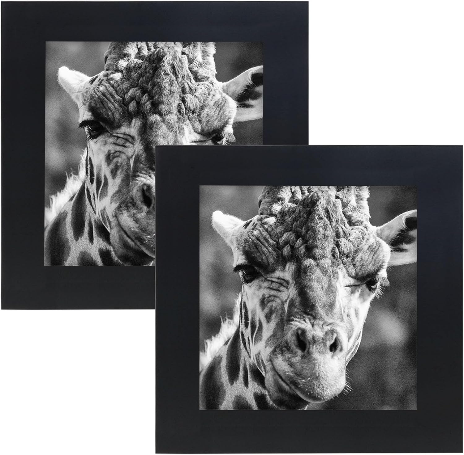 Picture Frames 8x8 2 Pack Nature Solid Black Wood for Wall Mounting and Tabletop Display