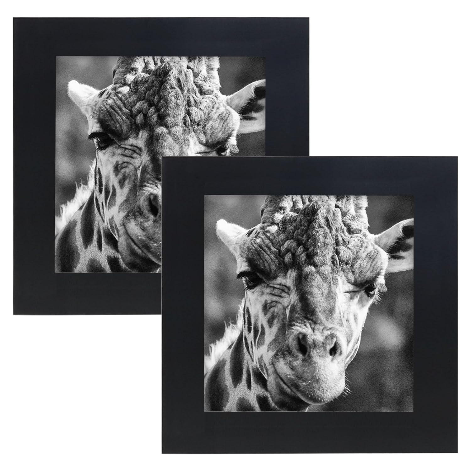 Picture Frames 8x8 2 Pack Nature Solid Black Wood for Wall Mounting and Tabletop Display