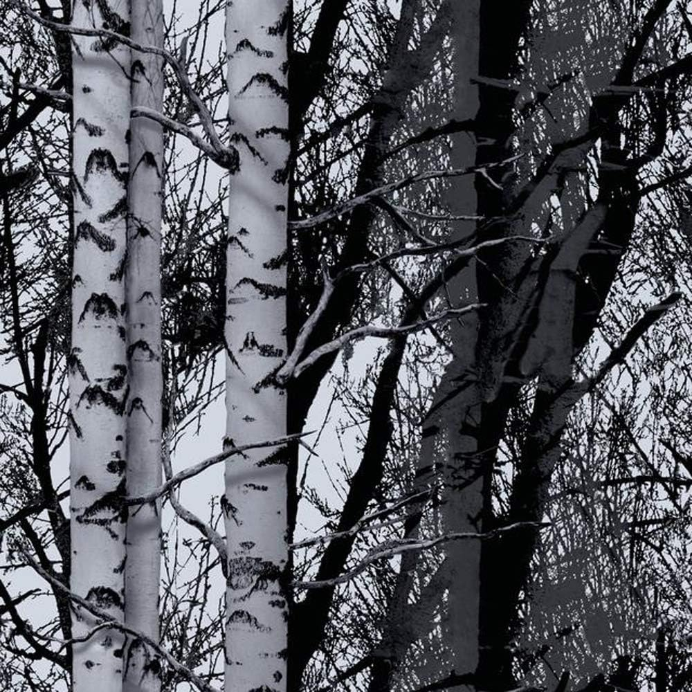 DC Fix Birch Wood Adhesive Film Self Adhesive Vinyl Wall Decal, 78.74-in by 17.7-in