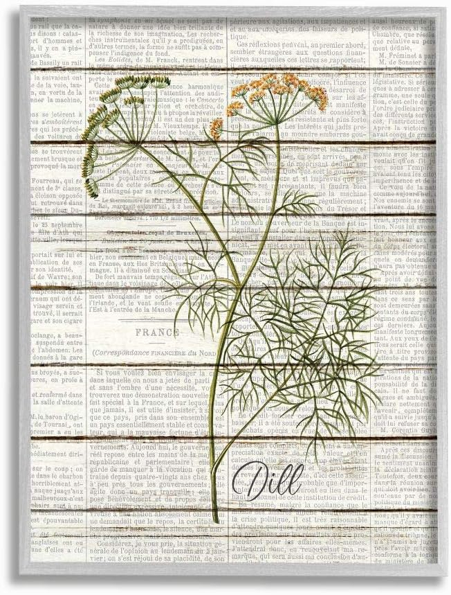 Stupell Industries Dill Vintage Herb Kitchen Dining Room Word Collage Design Gray Farmhouse Rustic Framed Giclee Texturized Art by Kimberly Allen