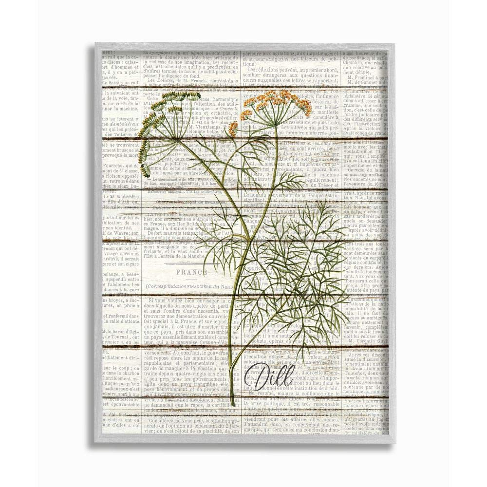 Stupell Industries Dill Vintage Herb Kitchen Dining Room Word Collage Design Gray Farmhouse Rustic Framed Giclee Texturized Art by Kimberly Allen