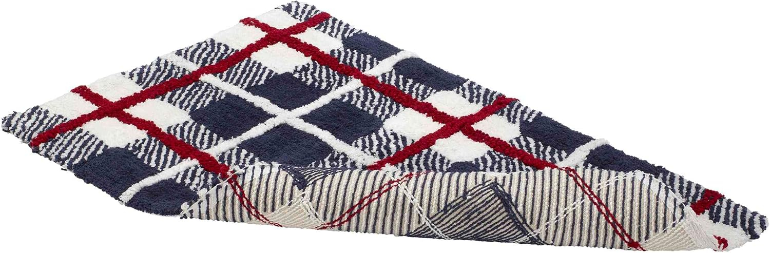 IZOD Izod Rug