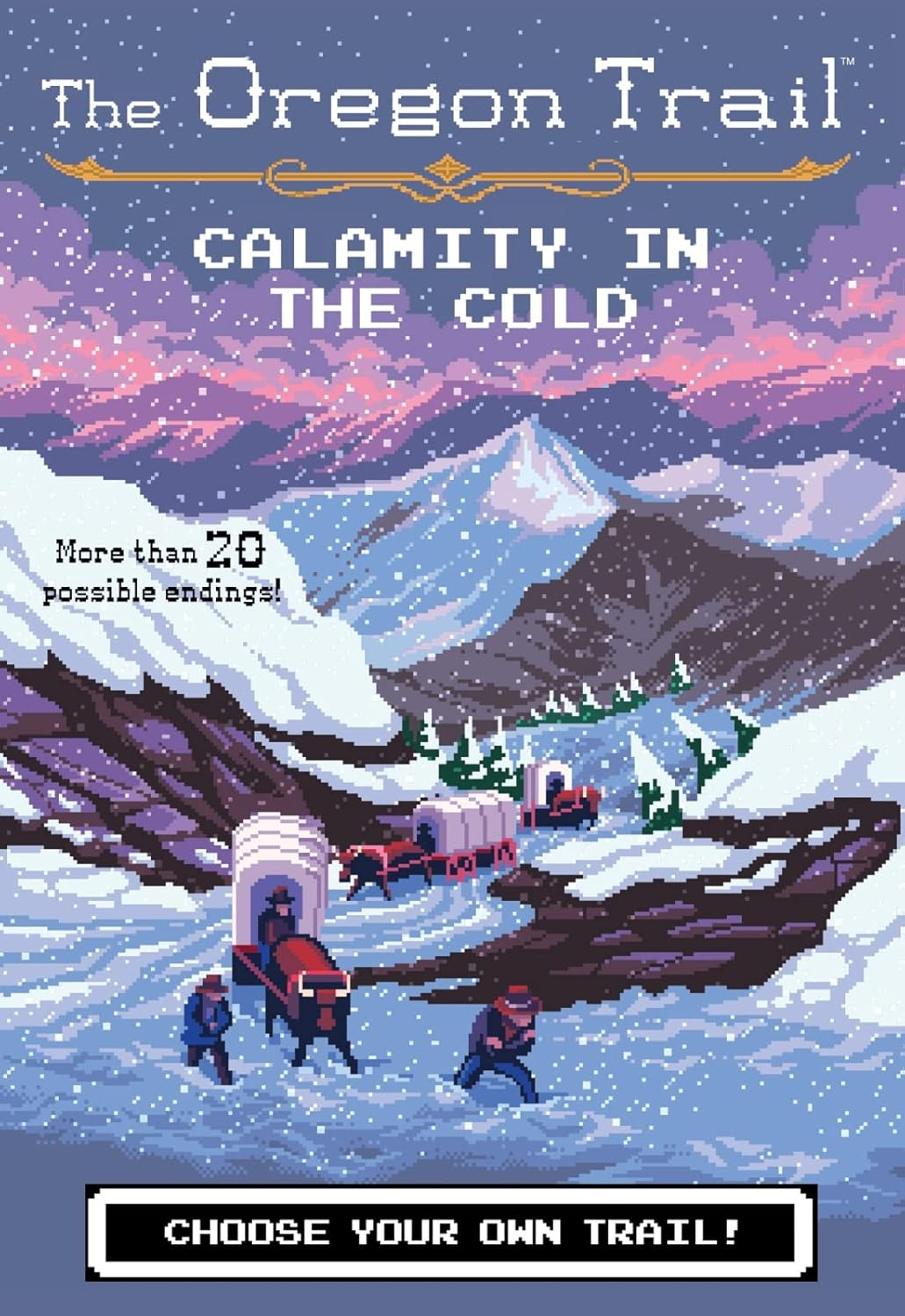 The Oregon Trail: Calamity in the Cold Adventure Book