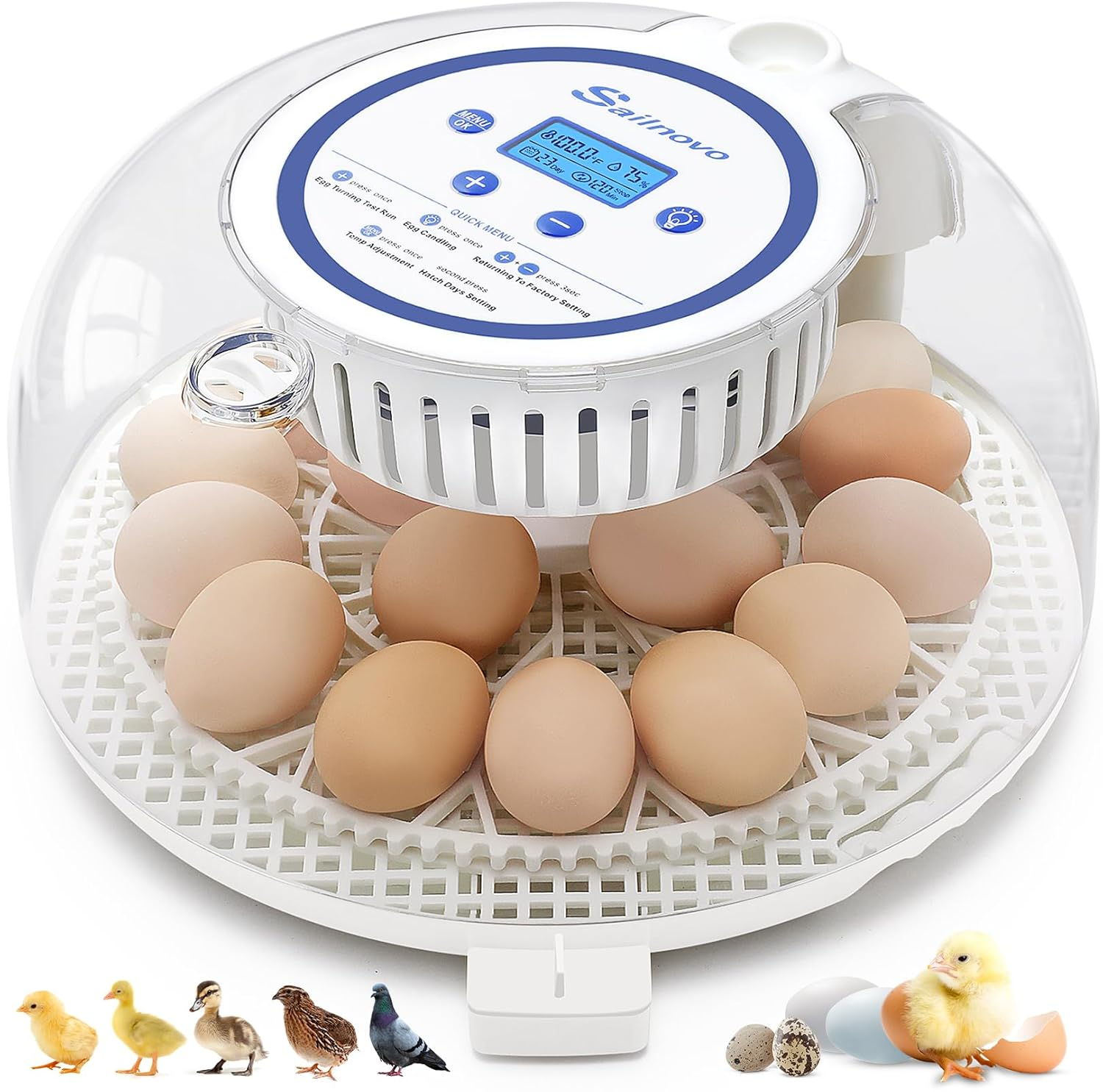 Adnoom 18 Egg Incubator for Chicken,Incubators for Hatching Eggs with Automatic Egg Turning and Humidity Control, Egg Candler, 360° View Window for Farm Hatching