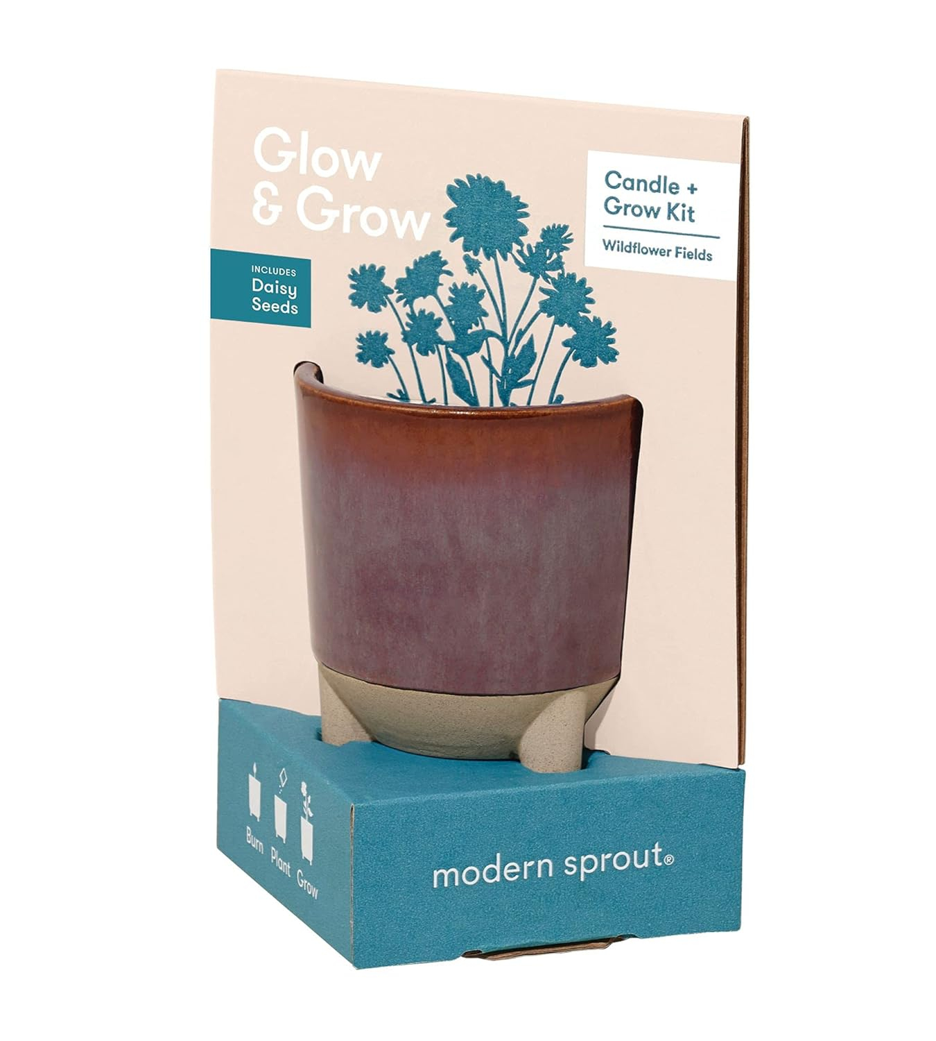 Wildflower Fields Ceramic Candle and Daisy Grow Kit
