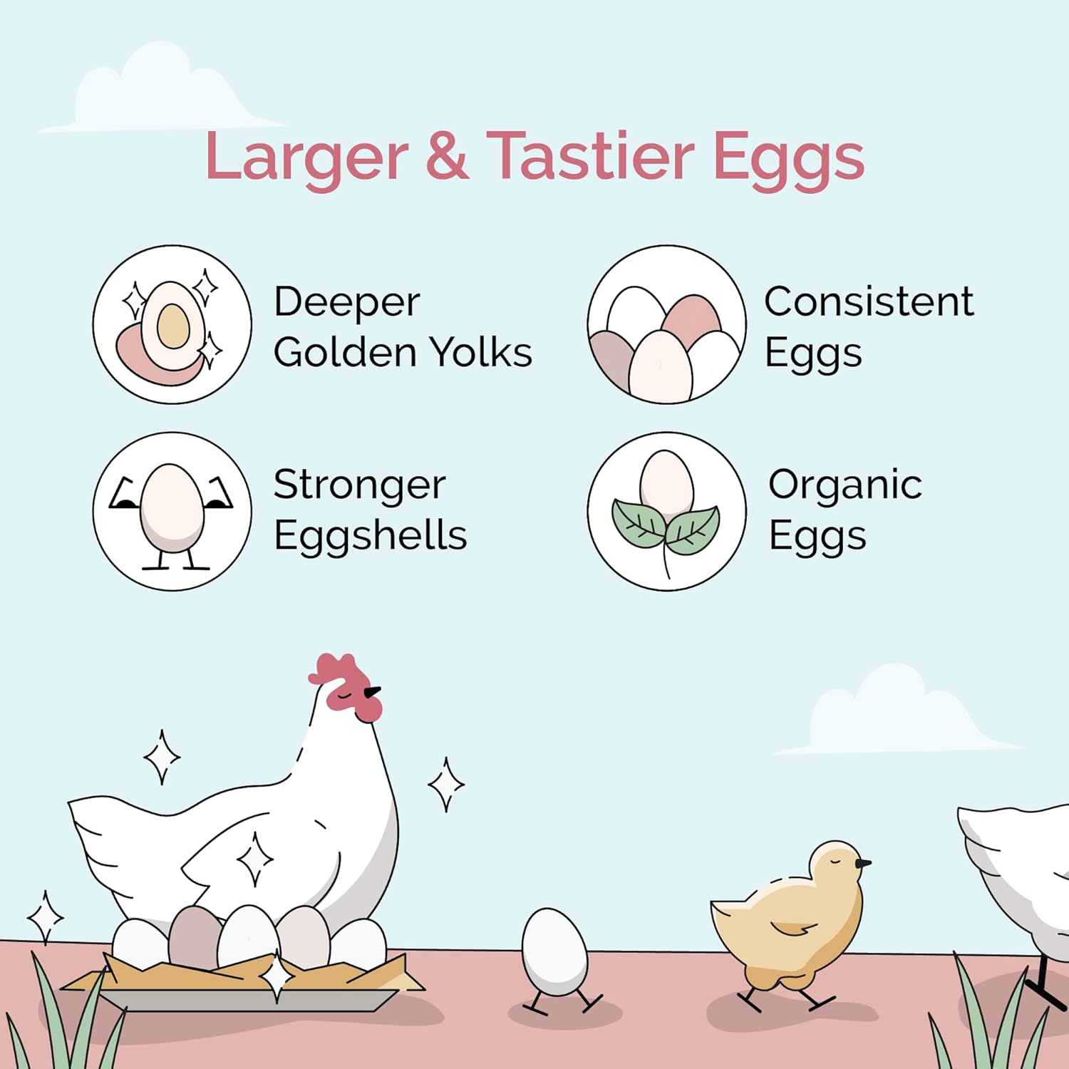 Mile Four | Layer Organic Chicken Feed | 100% US Grown Grains, Certified Organic, Certified Non-GMO, Corn-Free, Soy-Free, Non-Medicated Chicken Food | 16% Protein | Whole Grain | 23 lbs.