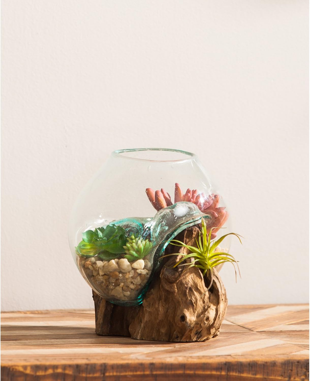 Cape Craftsmen 7" H Hand-Blown Blue Tinted Bubble Glass On Natural Teak Driftwood Terrarium | Home Décor Indoor Planter with Stand | Pot for Succulent and Plants