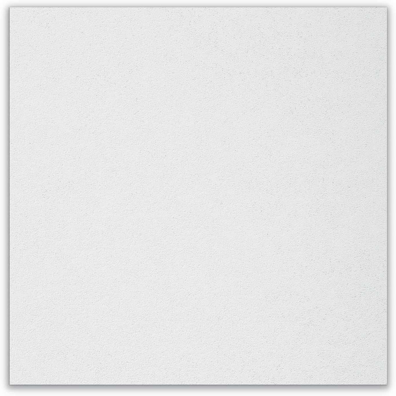 Ceiling Tile,24" W,24" L,3/4" Thick,PK12