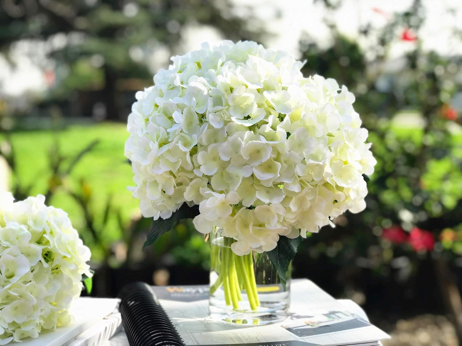 Enova Home Artificial Silk Hydrangea Flowers Arrangement in Clear Glass Vase with Faux Water (Cream)