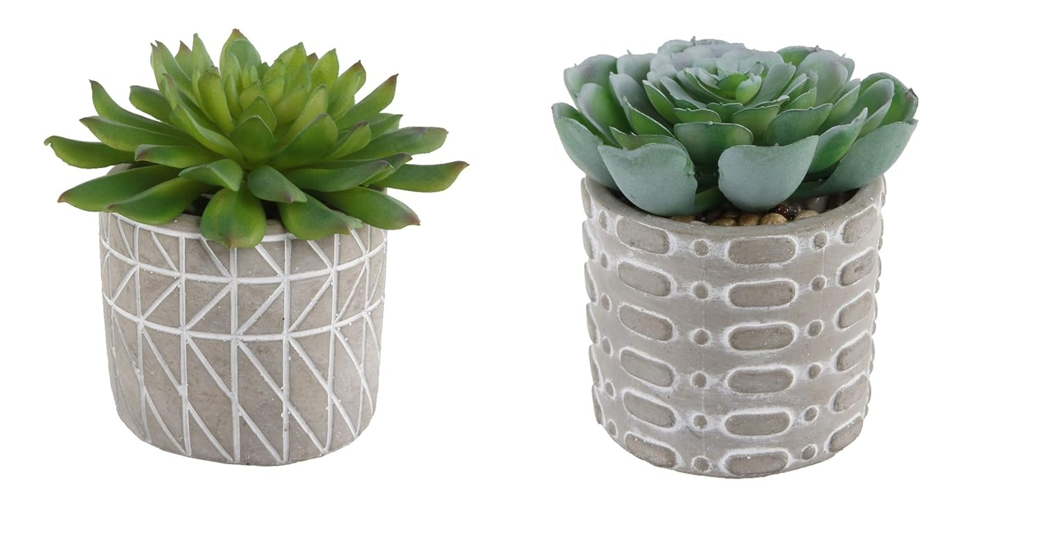 Flora Bunda Mid Century Artificial Plants Cactus Set of 2 Fake Succulent in 3" Cement Diamond line Pot Grey Planter, Potted Plants, for Home Office Decorations C65