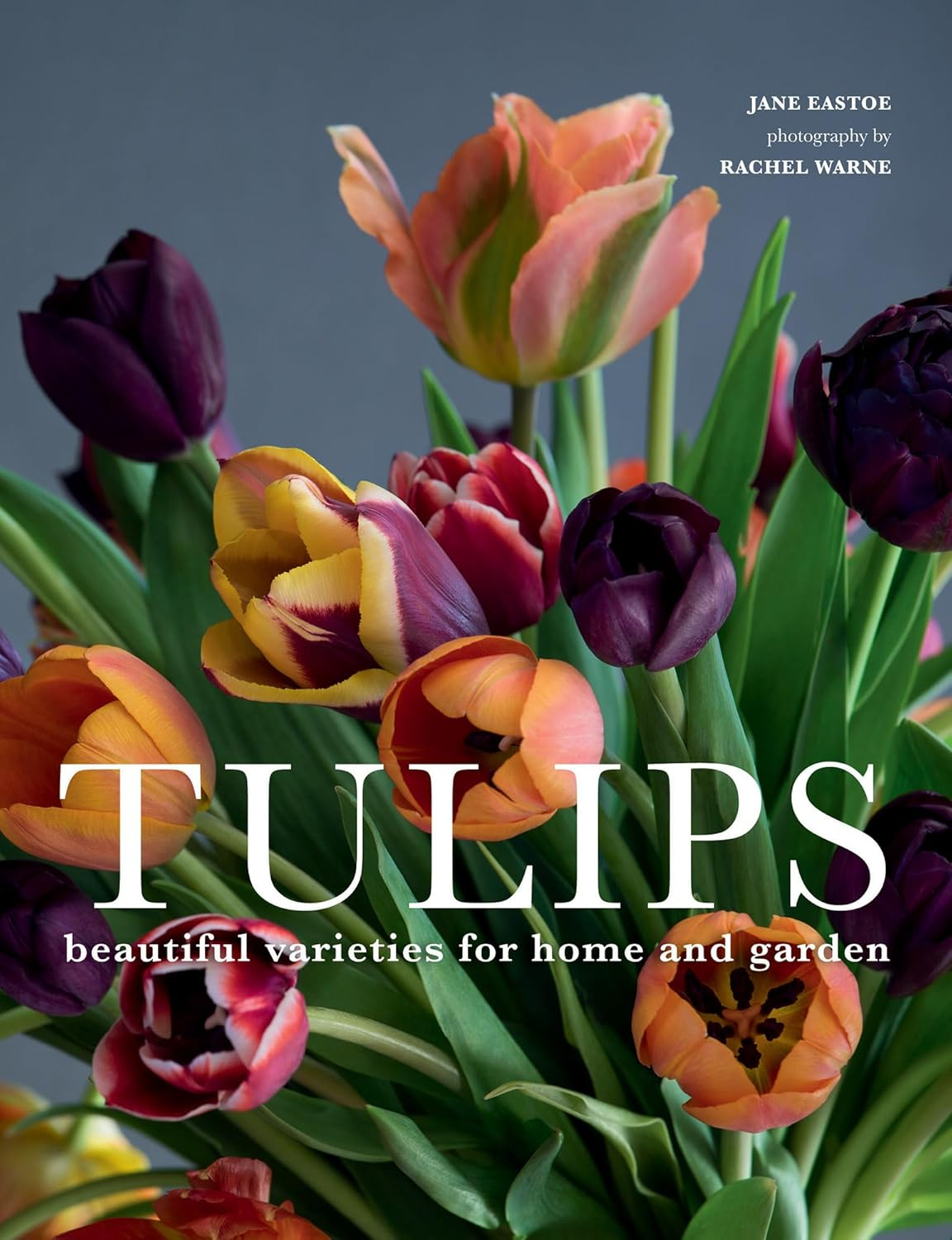 Tulips - (Flowers) by  Jane Eastoe (Hardcover)