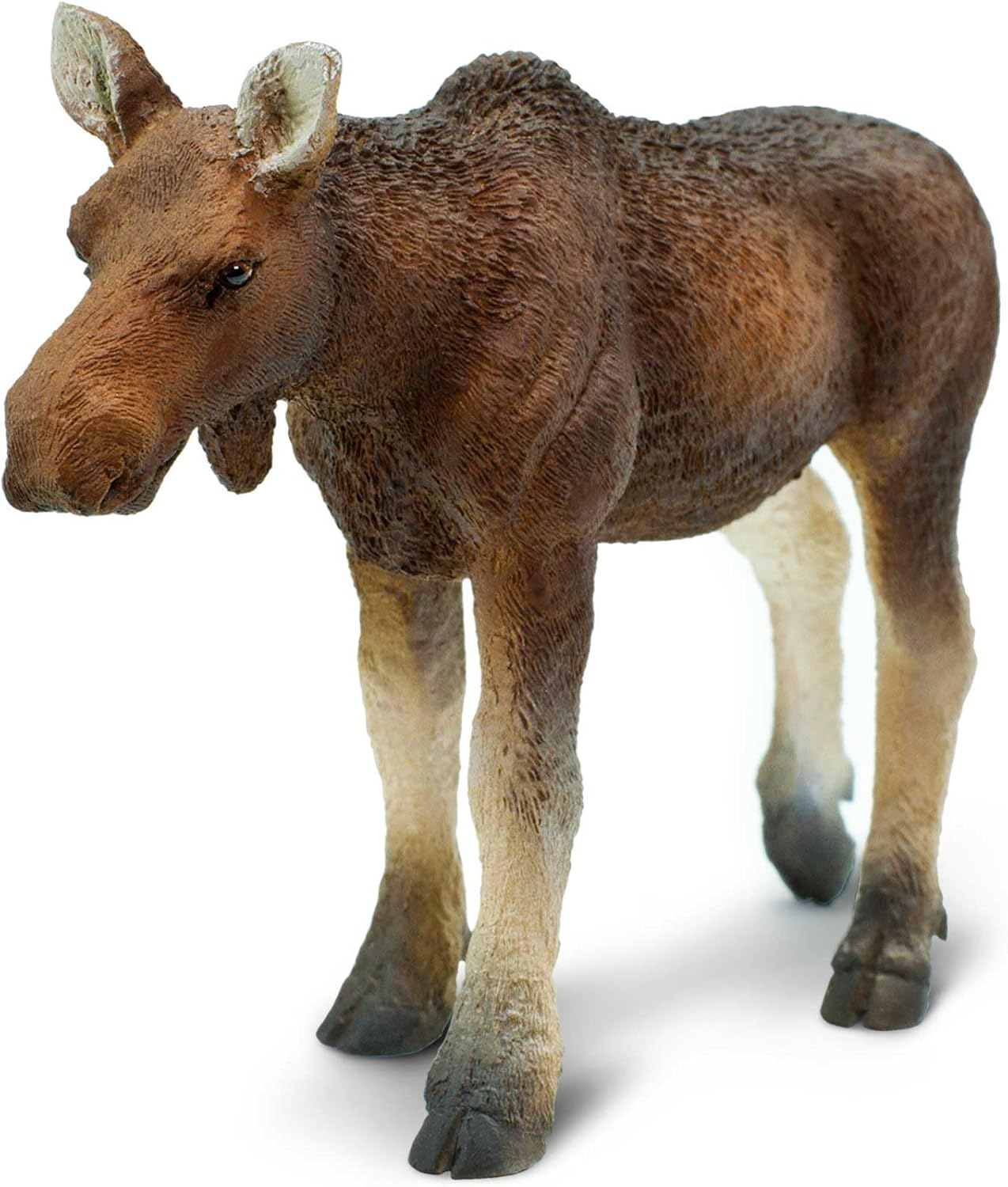 Safari Ltd. Cow Moose Figurine - Lifelike 4.5" Model Figure - Educational Toy for Boys, Girls, and Kids Ages 1+
