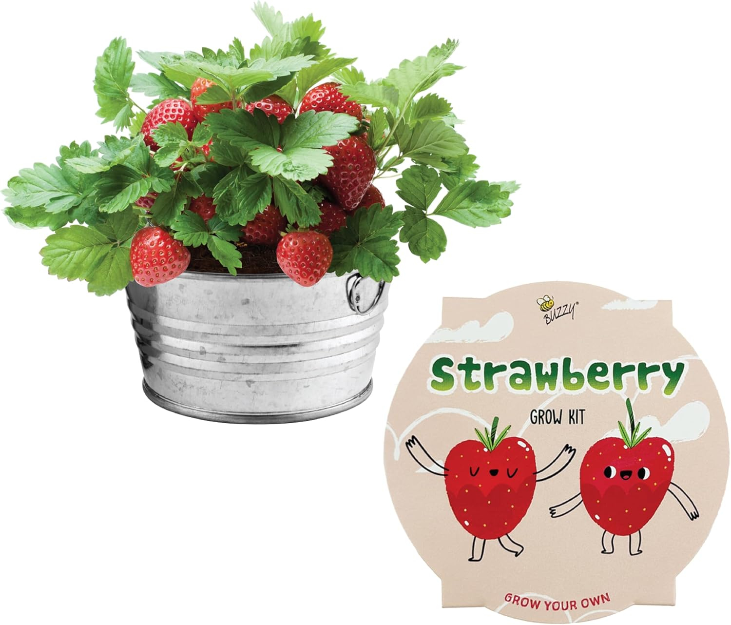 Vintage-Inspired Metal Mini Basin Strawberry Grow Kit