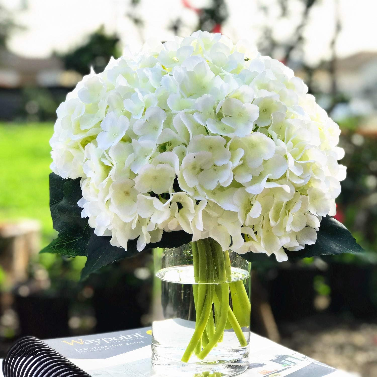 Enova Home Artificial Silk Hydrangea Flowers Arrangement in Clear Glass Vase with Faux Water (Cream)