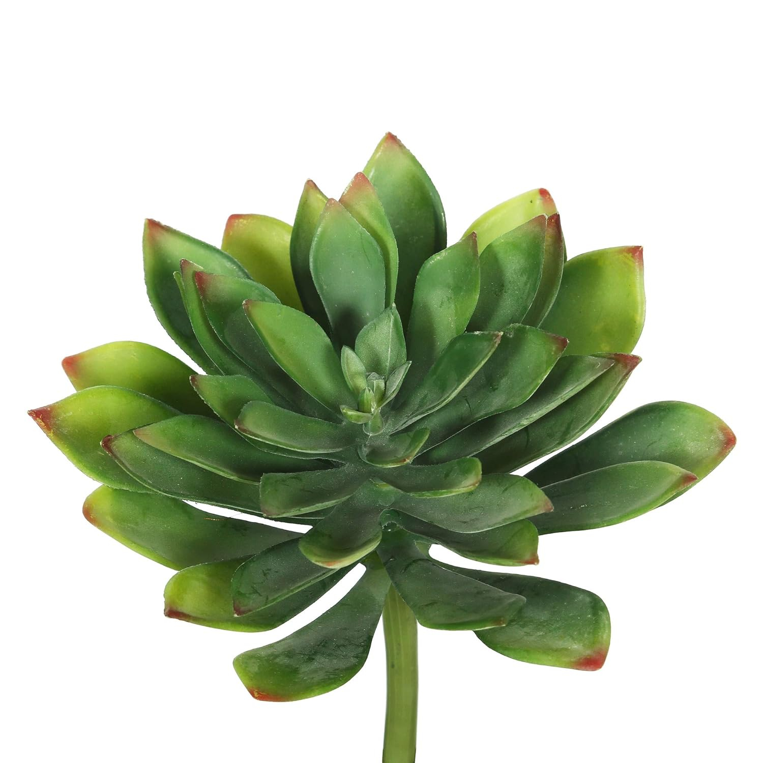 Vickerman 10" Artificial Green Succulent Stem, Set of 3