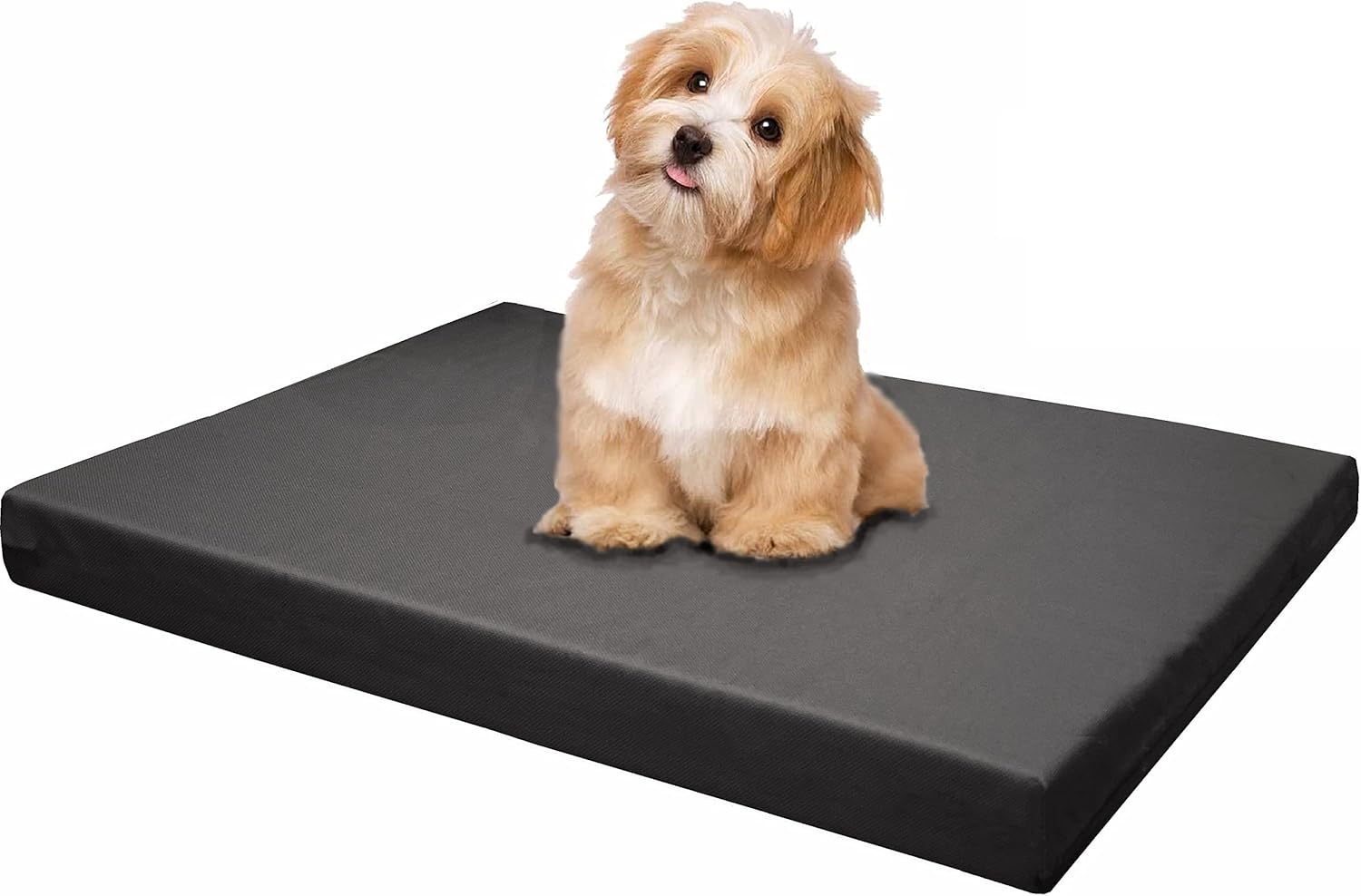 Large Space Gray Memory Foam Dog Bed with Waterproof Cover