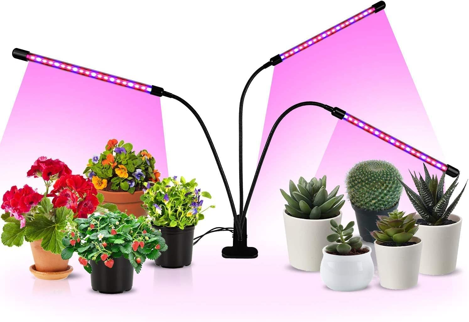 iPower LED Grow Lights with Full Spectrum Plant Growing Lamp for Indoor Plant, 3 Modes Timing Function, 3 Tubes, Red&Blue