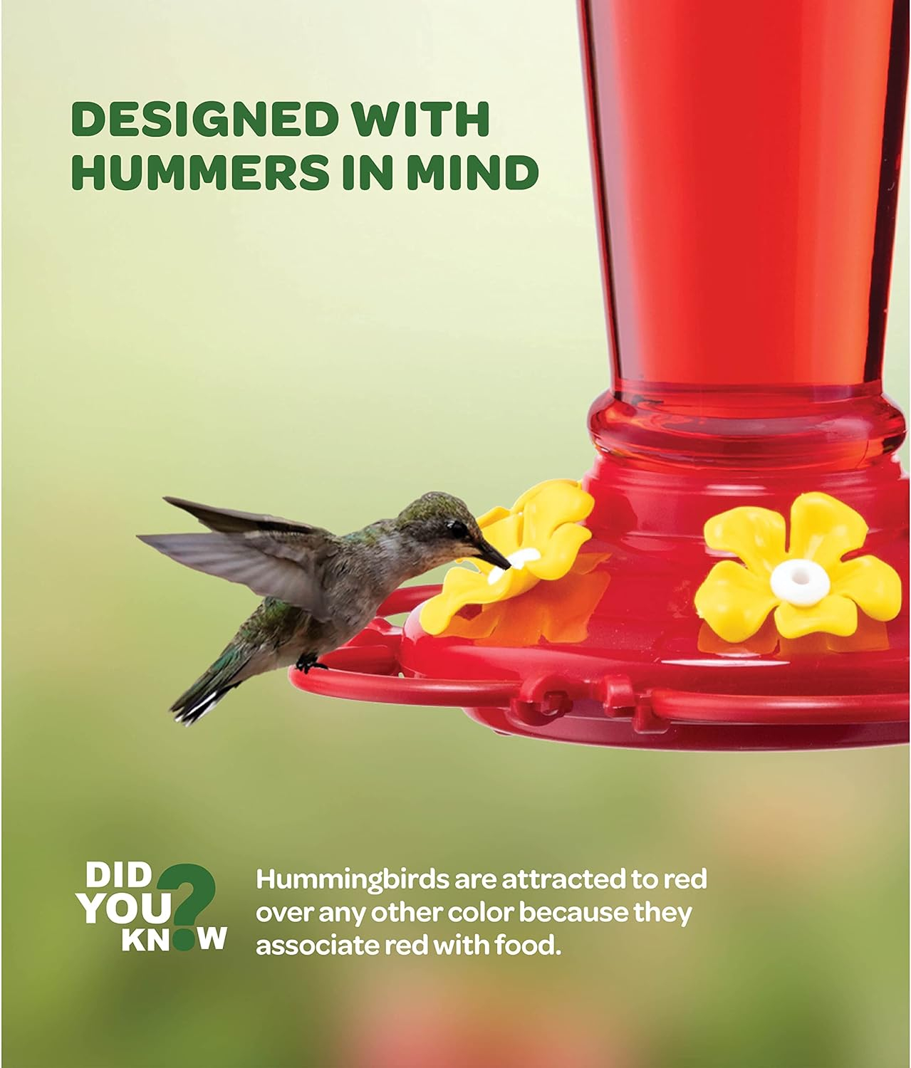 Hummingbird Feeder 10 oz Plastic Hummingbird Feeders for Outdoors, with Built-in Ant Guard - Circular Perch with 5 Feeding Ports - Wide Mouth for Easy Filling/2 Part Base for Easy Cleaning