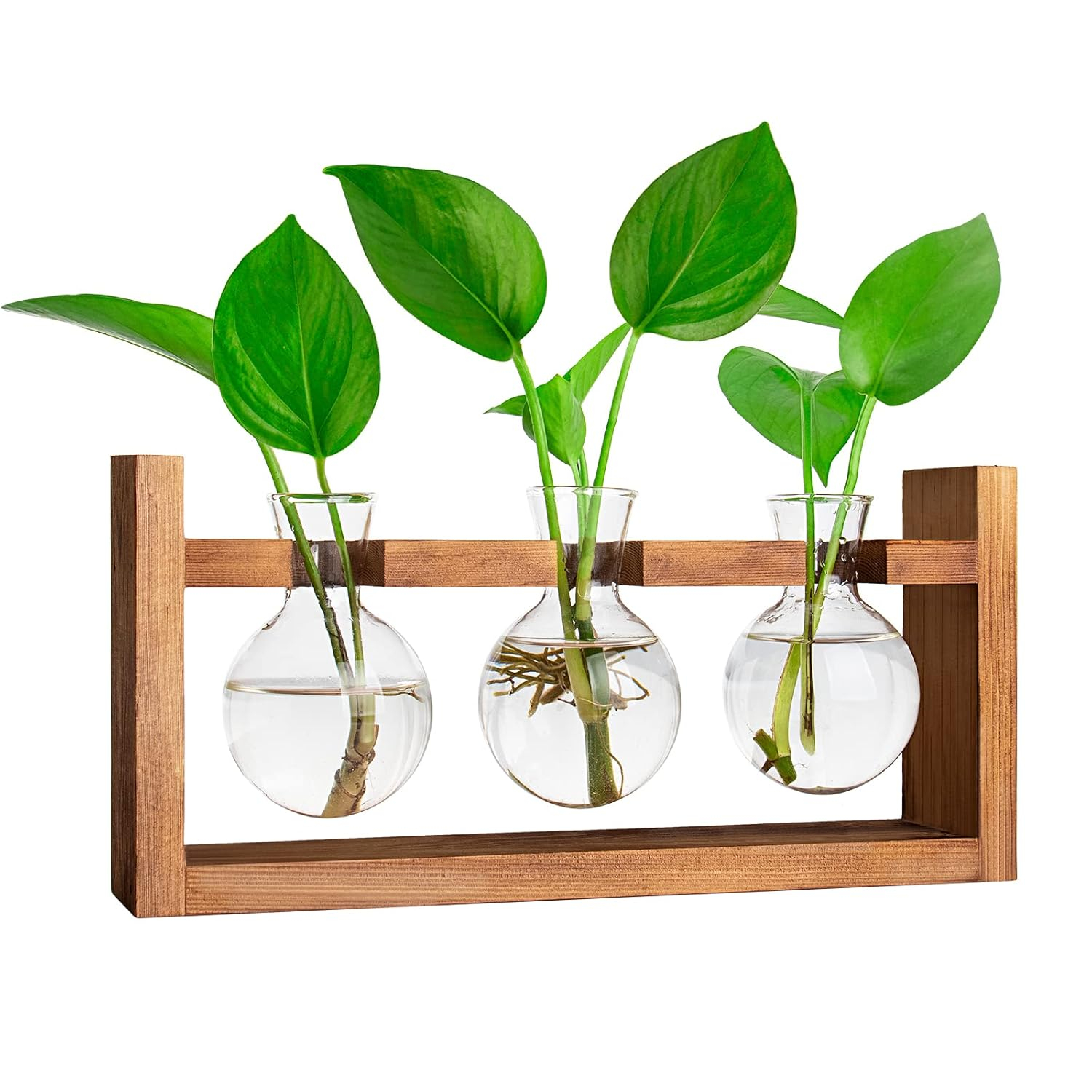 Plant Propagation Station,Plant Terrarium,Plant Starter,Gifts for Plant Lovers,Glass Bulb Terrarium with Retro Solid Wooden Stand for Hydroponics Plants Home Garden Wedding Décor (3 Bulbs)