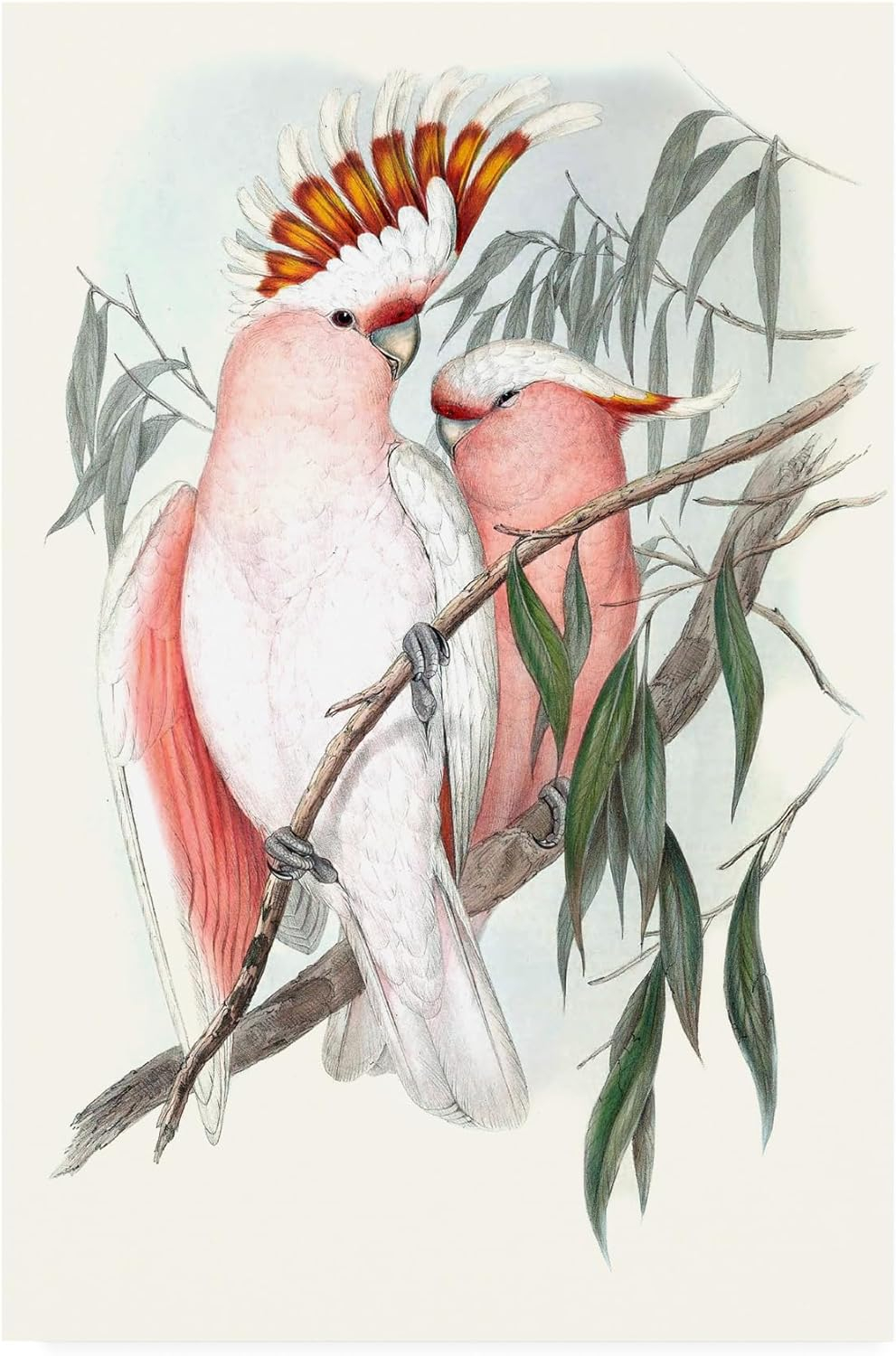 Trademark Fine Art 'Pastel Parrots I' Canvas Art by John Gould