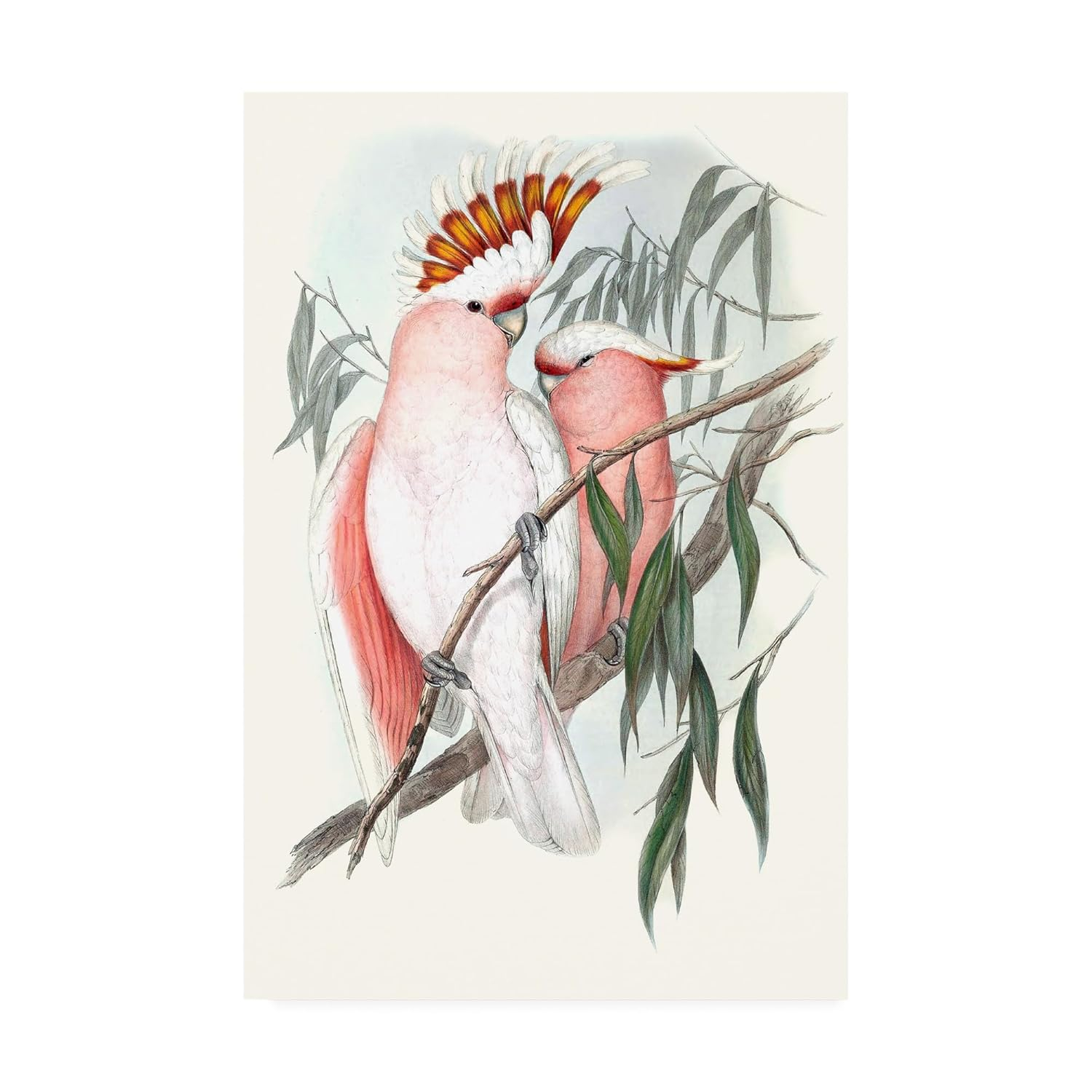 Trademark Fine Art 'Pastel Parrots I' Canvas Art by John Gould