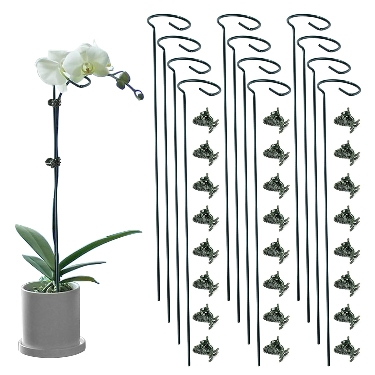 12 Pack Plant Stakes, 24 inch Plant Support Stakes, with 24 Pcs Plant Clips, Green, for Garden