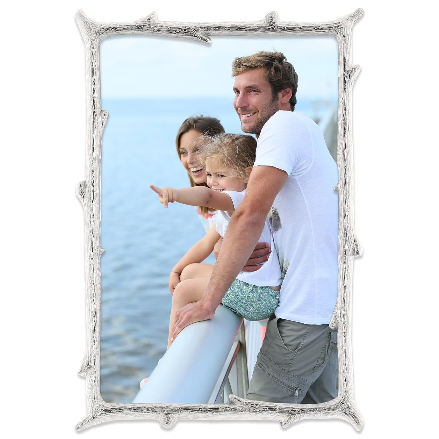 4x6 Silver Metal Picture Frame with Natural Branch Design