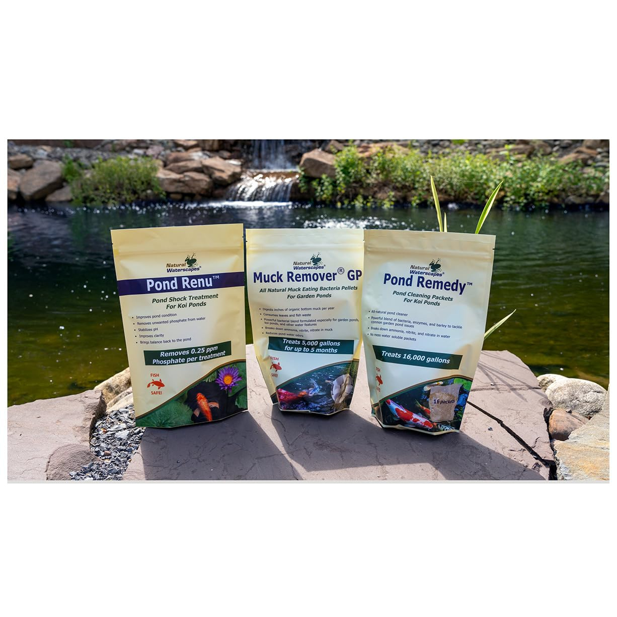 Koi Pond Maintenance Kit | Natural Pond Clarifier, Detoxifier, Sludge Remover for Backyard Pond | Includes Muck Remover GP, Pond Remedy, and Pond Renu