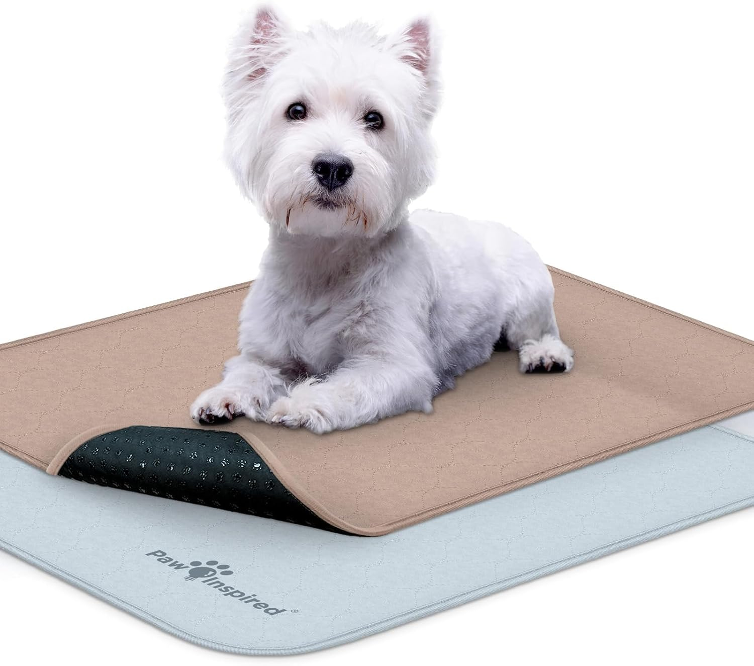 2ct Paw Inspired Dog Crate Pads Mats size 24x18” for Use with 24” Kennel and Crate | Washable Waterproof Dog Pee Pads