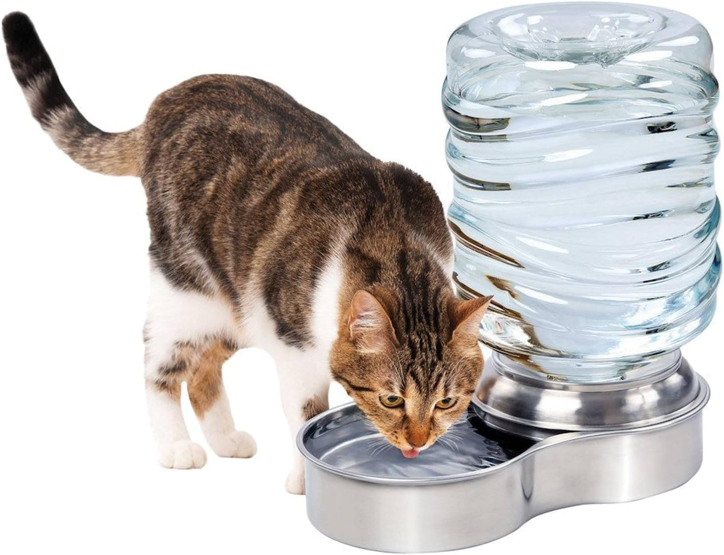 Pet Water Fountain for Dog Cat Stainless Steel Bowl Automatic Gravity Water Dispenser
