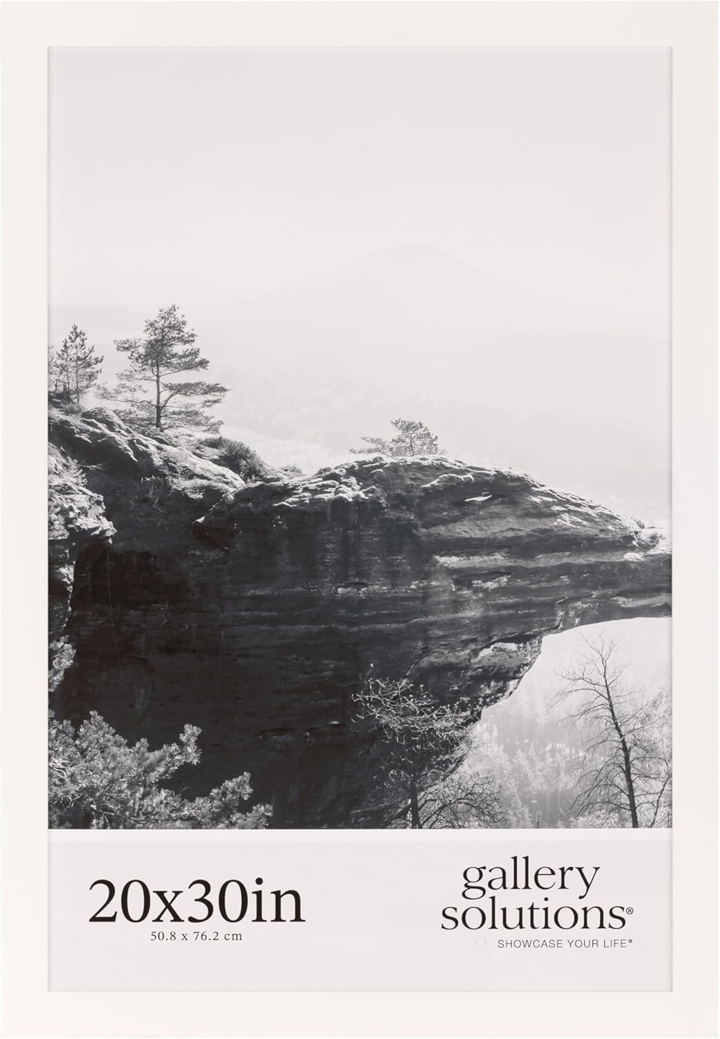 Gallery Solutions 20"x30" White Wood Wall Mount Poster with Hanging Frame - White