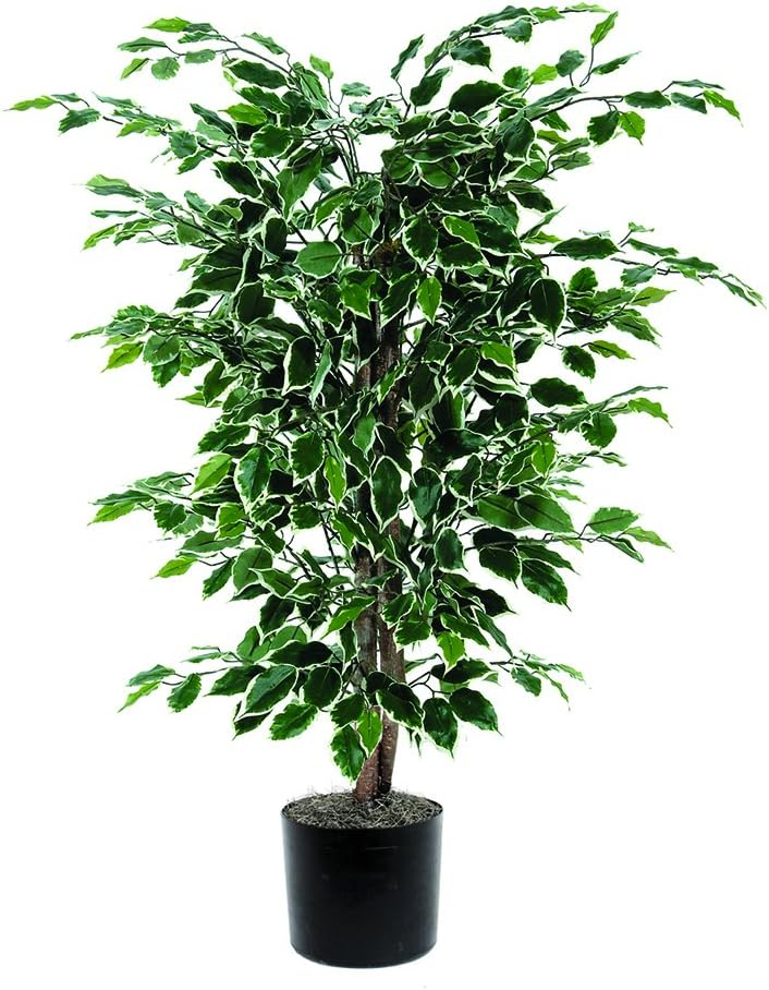 Vickerman 4' Artificial Variegated Ficus Bush, Black Plastic Pot.