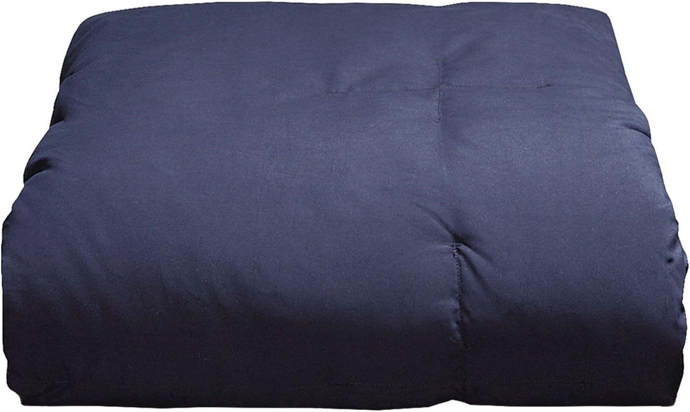 Blue Ridge Home Fashions Two-Tone Reversible Microfiber Down Alternative All Season Comforter-Hypoallergenic Polyester Fill, King, Purple/Violet