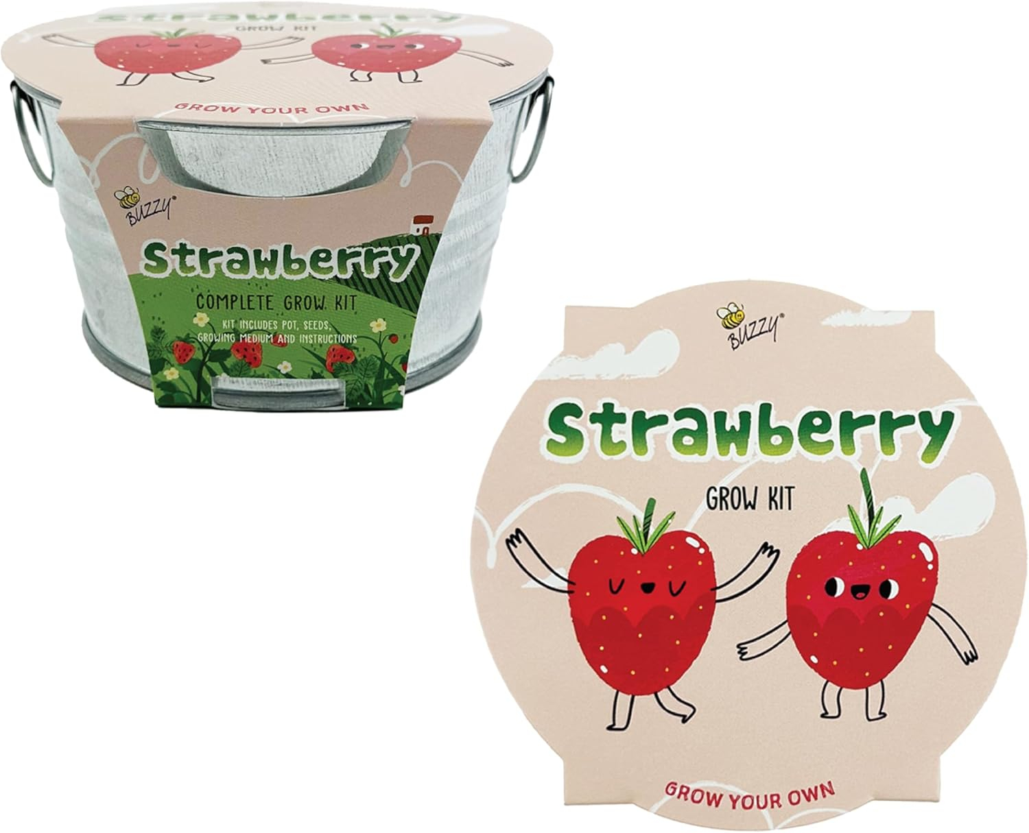 Vintage-Inspired Metal Mini Basin Strawberry Grow Kit
