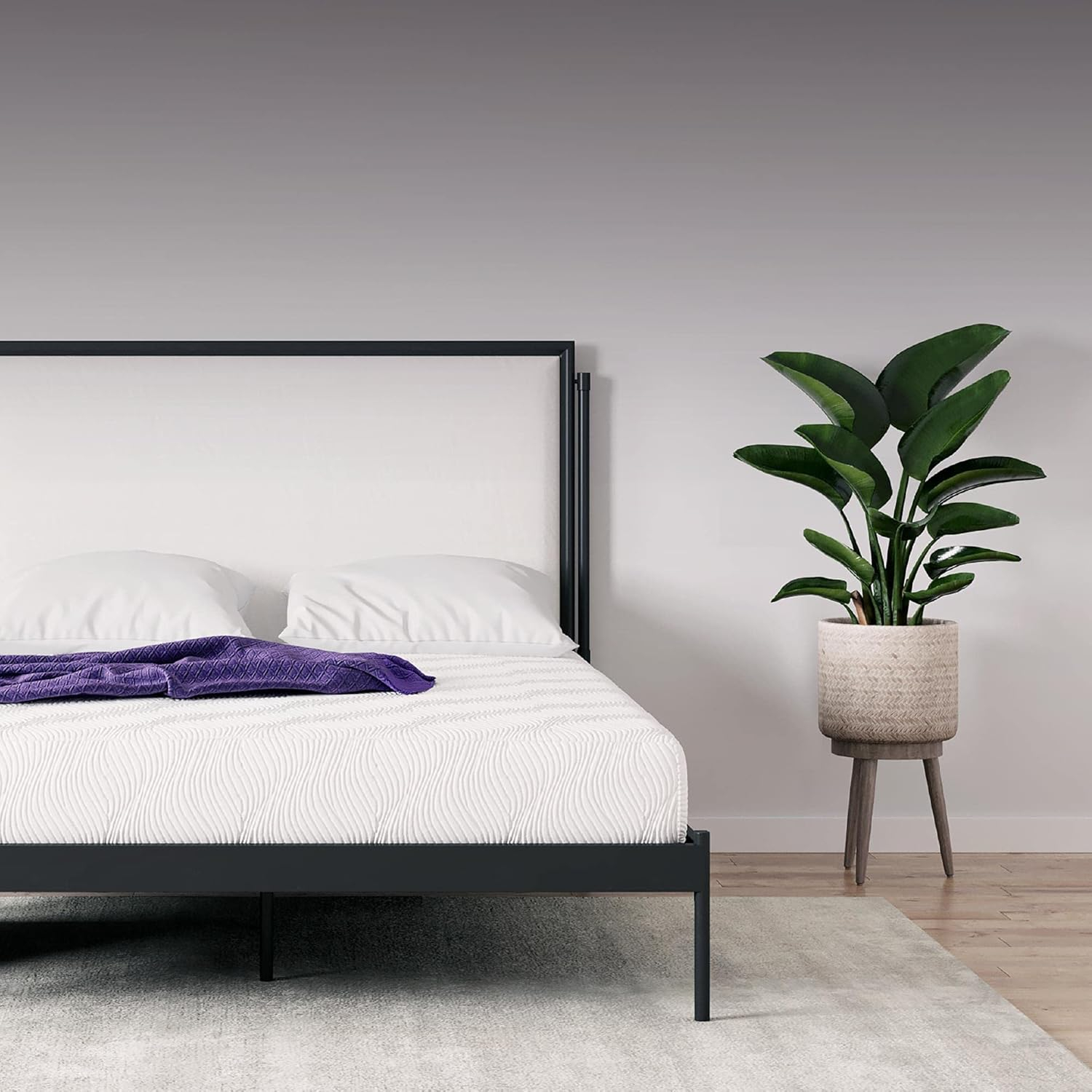 Signature Sleep Memoir 8" Charcoal Memory Foam Mattress Queen