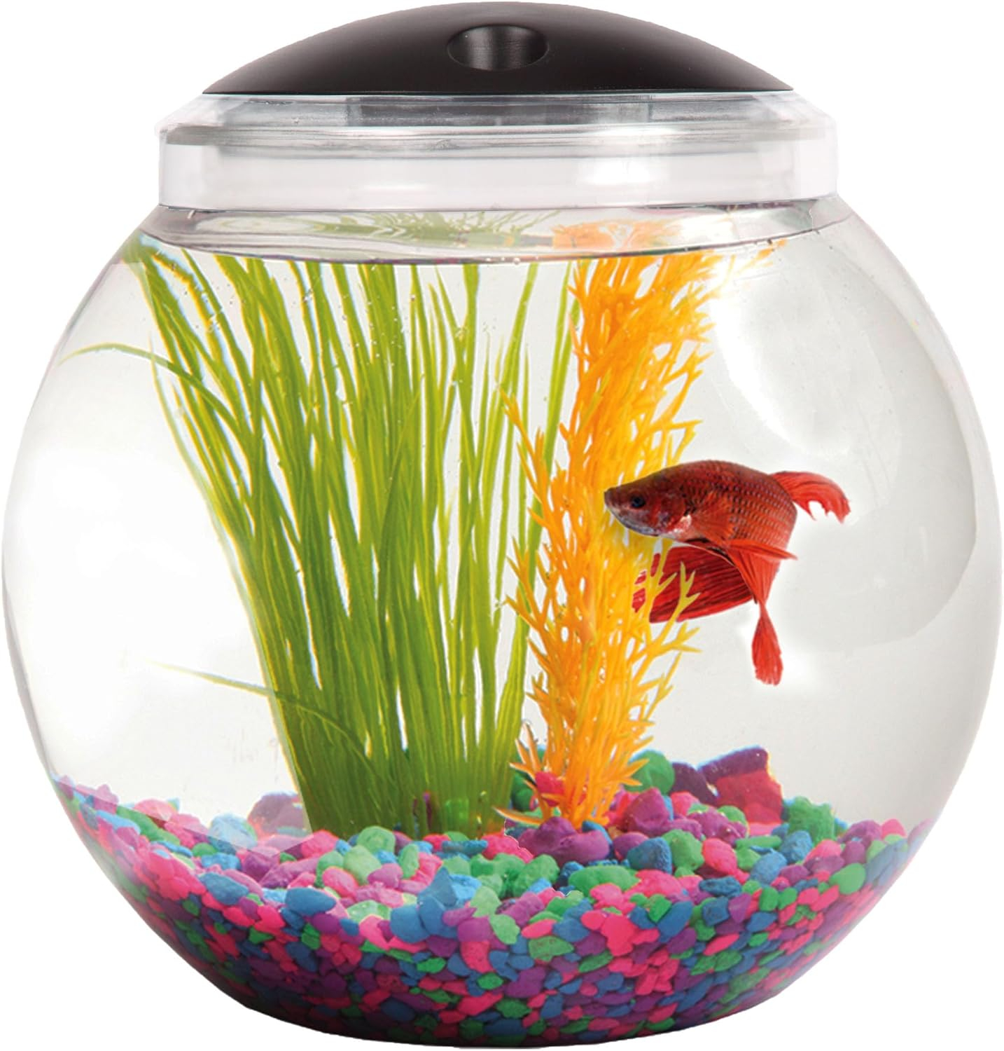 Koller Products 1-Gallon Globe Fish Bowl, Impact- Resistant Plastic Aquarium Starter Kits with LED Lighting, Buit-in Timer, Crystal-Clear Clarity, Desktop Fish Tank for Home Décor
