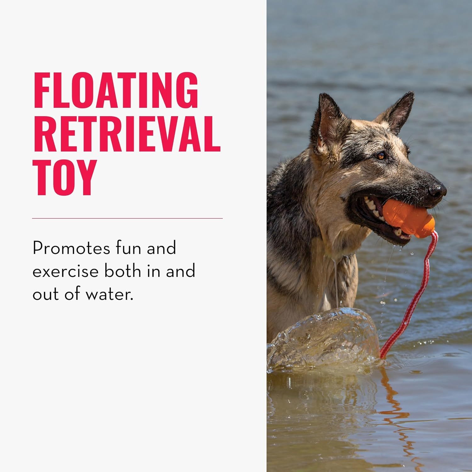 KONG Aqua Retrieval Floating Dog Toy, Orange, Large
