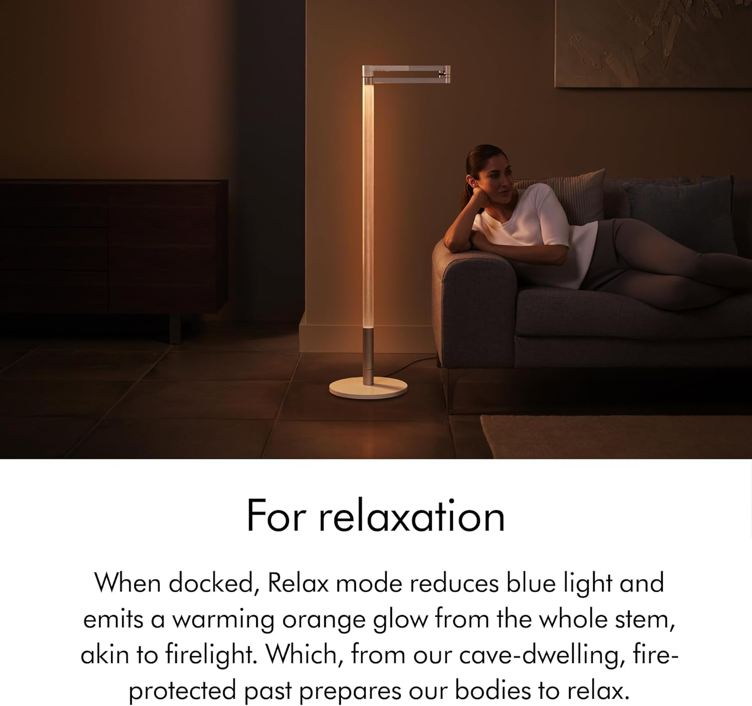 Dyson Solarcycle Morph™ Floor Light | Black | New