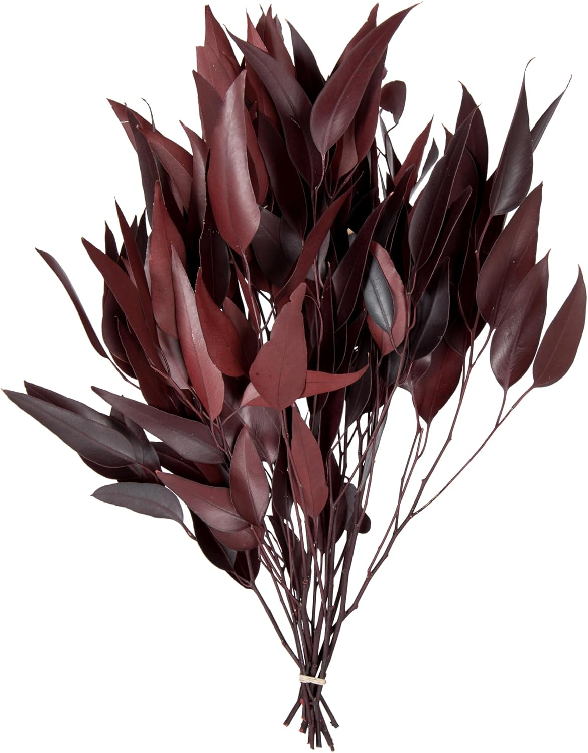 Vickerman 18" Red Weeping Willow Eucalyptus Foliage, 5 oz Bundle, Preserved